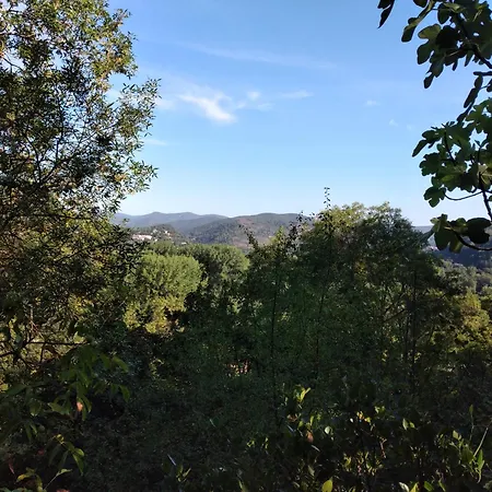 Le Cocon De La Corgne Semesterbostad *