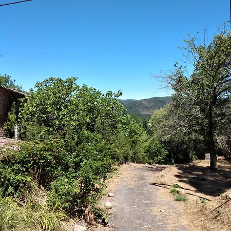 Tatil Evi Le Cocon De La Corgne Anduze