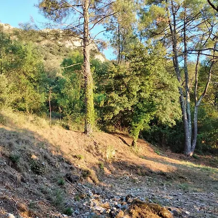 Le Cocon De La Corgne